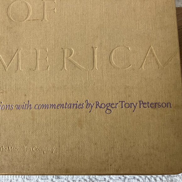 Audubon Birds Of America: 46 Of 50 Color Plates Selected by Roger T Peterson - Picture 3 of 15